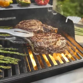 Weber Spirit EP-425 GBS schwarz 1500950