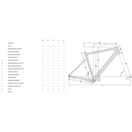 Focus Atlas 8.7 - 28 Zoll 24K Diamant - Slategrey matt / M