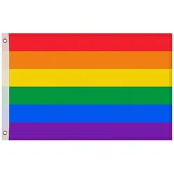 LGBTQ+ Flagge 150x90cm mit Ösen – 8 Varianten zur Auswahl