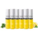 Spitzner Duschschaum Citrus-Ceder 6x 50 ml Wellness-Dusche sanft hautverträglich