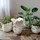 Chic Antique Fayence Ø 18 x 16 cm Creme