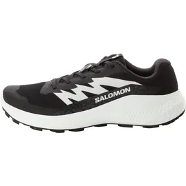Salomon Alphaglide Herren Schwarz / Grau 41