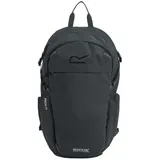 Regatta Prism Rucksack grau