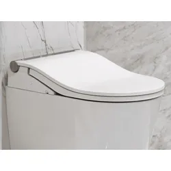 Toto Washlet RW Dusch-WC Sitz auto flush
