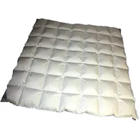 Betten Hofmann Hofmann Bayern Kassetten Daunendecke Ganzjahresdecke 8x8 240x220 cm 1280g leicht - Weiß