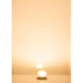 FALLER LED-Beleuchtungssockel warm weiß 180667 H0/TT/N/Z