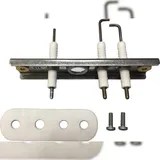 Bosch Elektrode