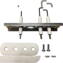 Bosch Elektrode