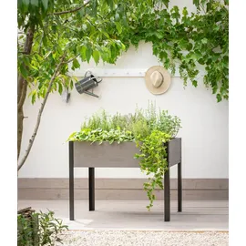 Dehner Ottawa 110 x 60 x 85 cm Grau