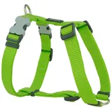 Red Dingo Weiches Hundegeschirr Neongrün 37-61 cm