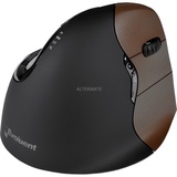 Evoluent VerticalMouse 4 Small Wireless schwarz/braun