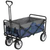 Bollerwagen 100 kg Tragkraft - Transportwagen faltbar - Einkaufen & Camping - Blau / Grau