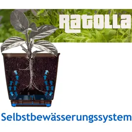 DEUBA Pflanzkasten 49 x 17 x 17 cm Anthrazit Komplettset