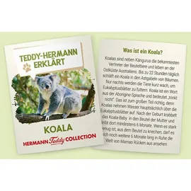 Teddy-Hermann Teddy Hermann 91424 - Koalabär 21cm, grau-weiß