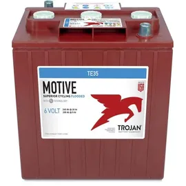 Trojan TE35 6V 245000 mAh 1 St.