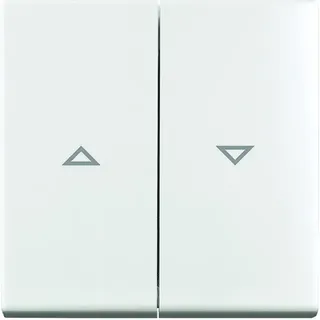 Busch-Jaeger Wippe mit Aufdruck 2504-914