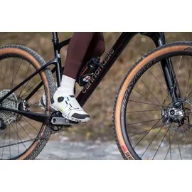 Northwave Celsius XT Arctic GTX Grau 43