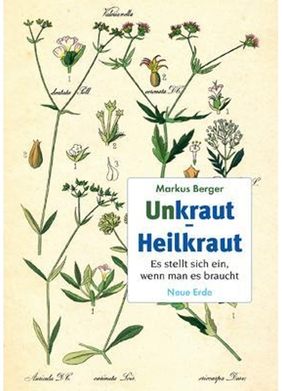 Unkraut - Heilkraut - Markus Berger  Kartoniert (TB)
