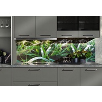 Express Küchen Küchenrückwand "Regenwald", als Spritzschutz geeignet, mit Schutzlack versehen, (1-tlg), in verschiedenen Breiten bunt 120 cm x 56 cm