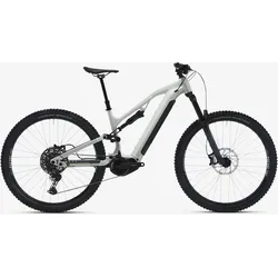 E-Mountainbike 29 Zoll E-Feel 700 S All Mountain, grau, S