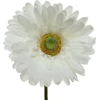 Decoris Gerbera Variante: Weiß