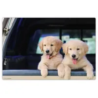 cover-your-desk Schreibtischunterlage für Kinder und Erwachsene Golden Retriever Welpen, aus hochwertigem Vinyl , 60 x 40 cm