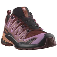 Salomon XA Pro 3D V9 Damen rum raisin/orchid bouquet/canyon clay 37