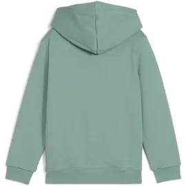 Puma Essentials No. 1 Logo Fleece Hoodie Jungen 30 green moon 116