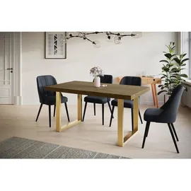 alpi möbel LOFT-U 120-220 x 77 x 80 cm dunkelbraun/gold