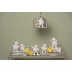 Küken Chubby M rufend