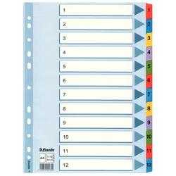 Esselte Register 100162 1-12 DIN A4 Mylar weiß