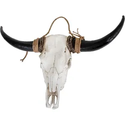 Bison Geweih weiß braun Jagdtrophäe Trophäe Gehörn Deko Wanddekoration Jagd