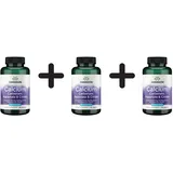 Swanson Calcium Carbonate, Aspartate & Citrate Tabletten 100 St.