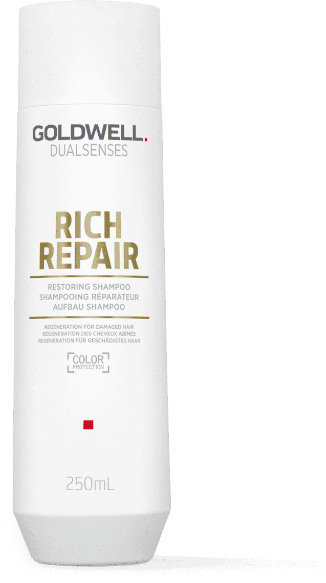 GOLDWELL Dualsenses Rich Repair Aufbau Shampoo 250ml