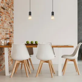 GLOBO Pendelleuchte Joseba Hängeleuchte Metall schwarz Matt, 1x E27