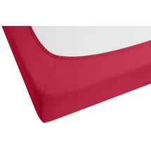 biberna Spannbettlaken Jersey-Elasthan 90 x 190 - 100 x 220 cm rot