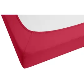 biberna Spannbettlaken Jersey-Elasthan 90 x 190 - 100 x 220 cm rot