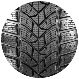 Dunlop Winter Sport 5 225/55 R17 101V