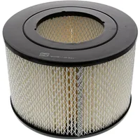 Champion Luftfilter CAF100209R