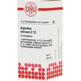 DHU-Arzneimittel ARGENTUM Nitricum D 12 Globuli