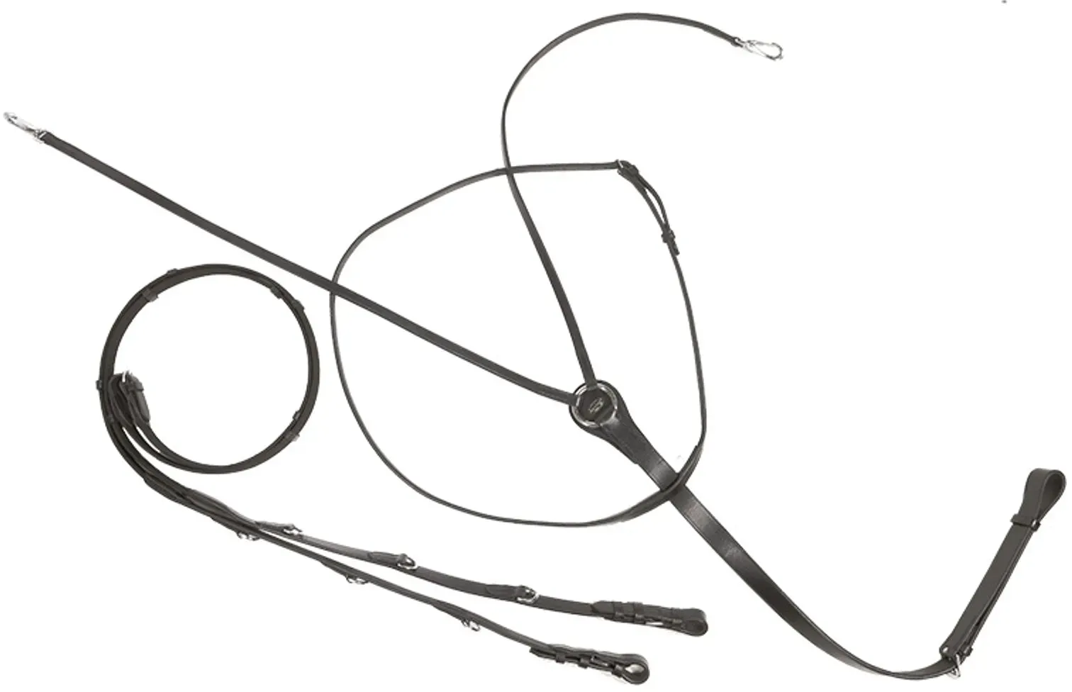 Kavalkade Thiedemann-/Köhler-Zügel