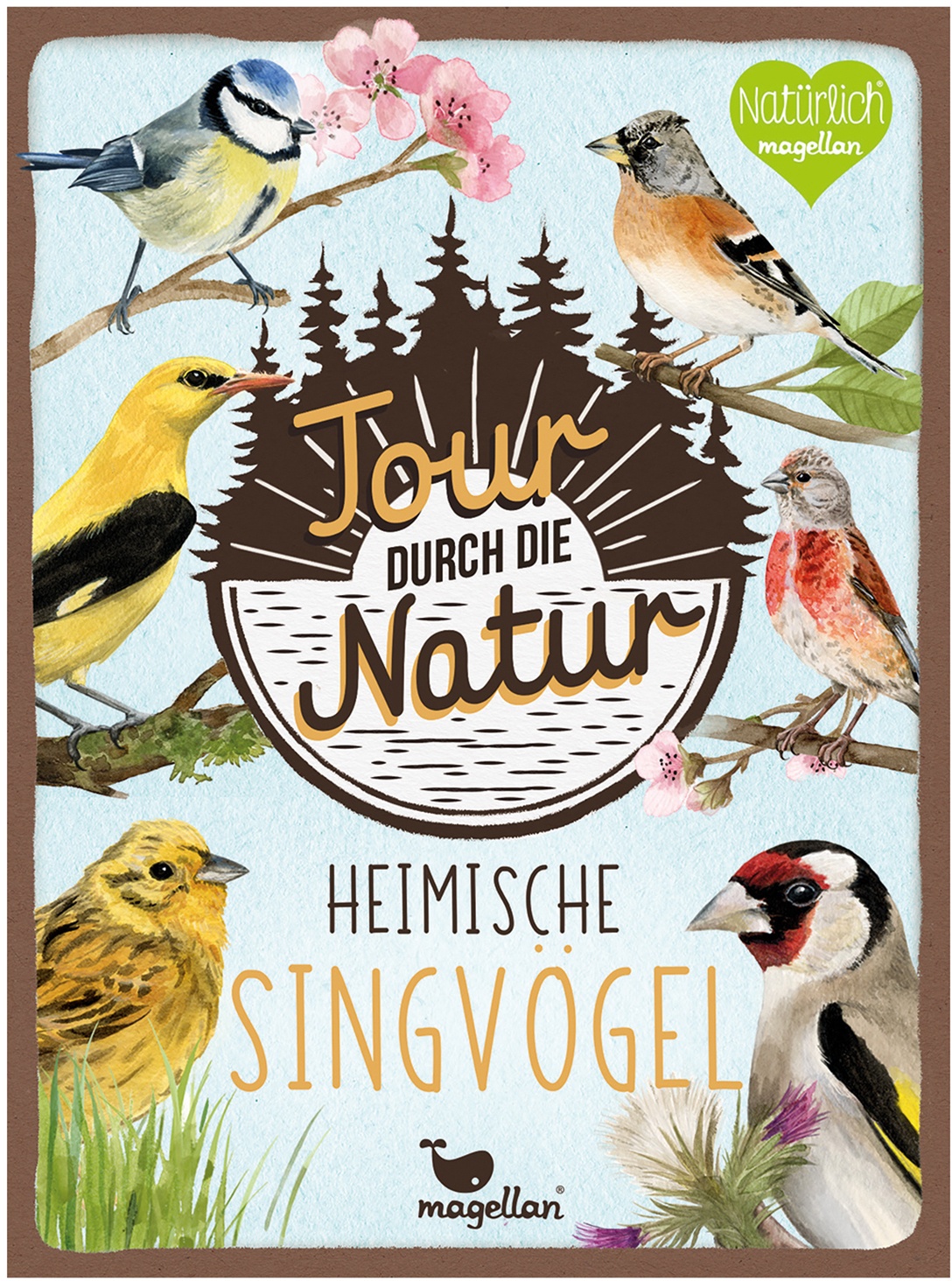 Magellan Verlag - Lernkarten TOUR DURCH DIE NATUR – HEIMISCHEN SINGVÖGEL