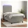 vidaXL Boxspringbett 100 x 200 cm Hellgrau