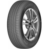 Delinte DS2 195/50R15 82V BSW