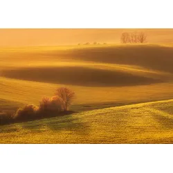 Fototapete PAPERMOON "Landschaft", bunt, B:5,00m L:2,80m, Vlies, Tapeten
