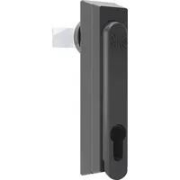 ABN Schwenkhebel GDV120N10 (VE10)