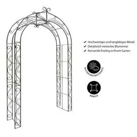 Dehner Rosenbogen Newport 134 x 244 x 38 cm Braun
