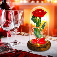 TWBEST Die Schöne und das Biest Rose Geschenk Kit,Rose im Glas,Ewige Rosen,Die Schöne und das Biest,für Hauptdekor Geburtstag,Hochzeit, Valentinstag,Muttertag,Jubiläum