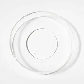 bio pilixin Bio-Pilixin Shampoo+ für Frauen 250 ml