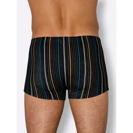 wäschepur Pants schwarz/gestreift 12 2er Pack